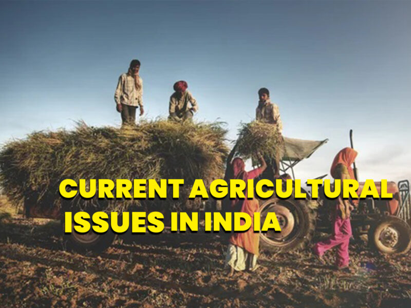 what are the current agricultural issues in India