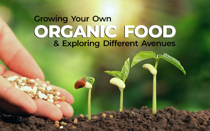 Growing Your Own Organic Food And Exploring Different Avenues