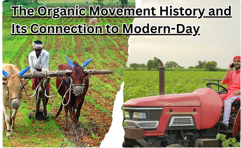 The Organic Movement History and Its Connection to Modern-Day