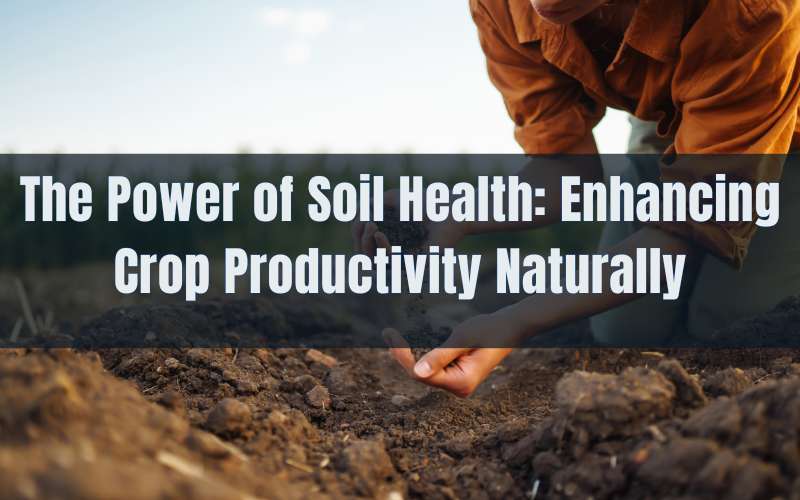 The Power of Soil Health Enhancing Crop Productivity Naturally